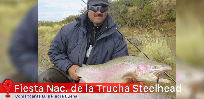 Trucha Steelhead