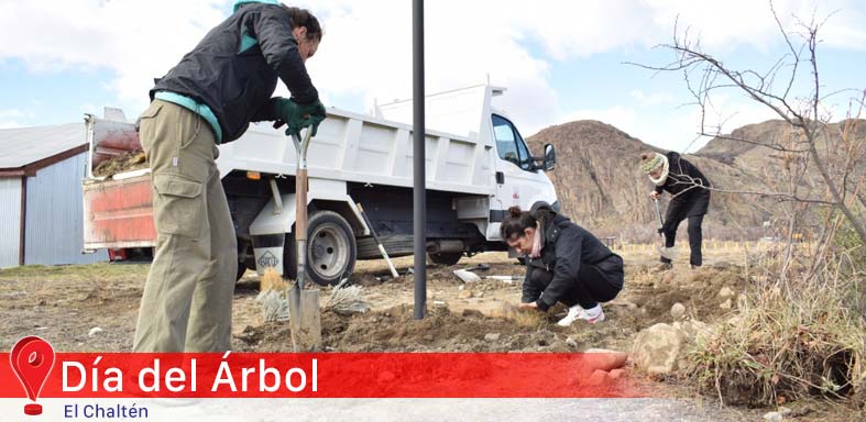 Día del Árbol