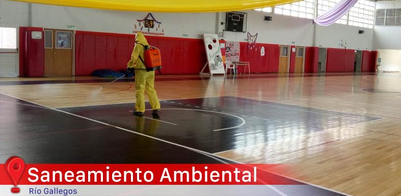 Dirección de Saneamiento Ambiental