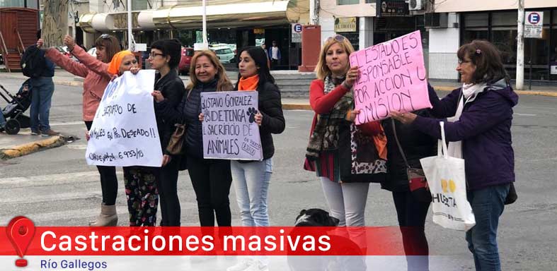 problemática canina