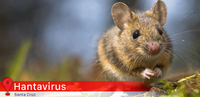 Hantavirus