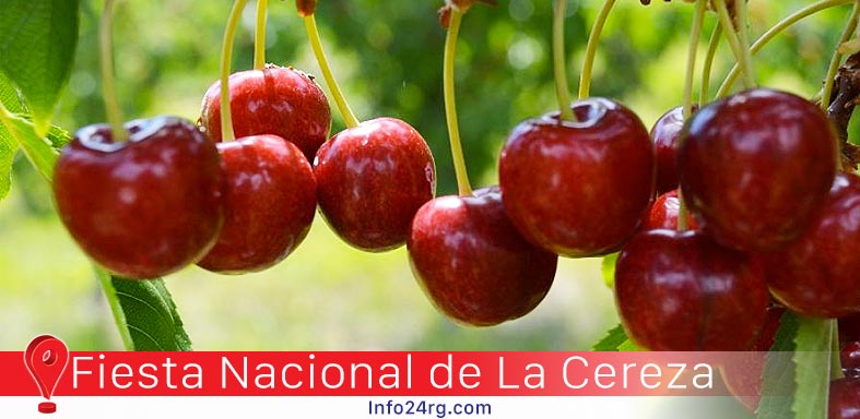 Fiesta Nacional de La Cereza