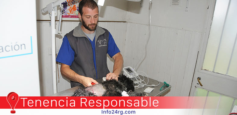 Tenencia Responsable