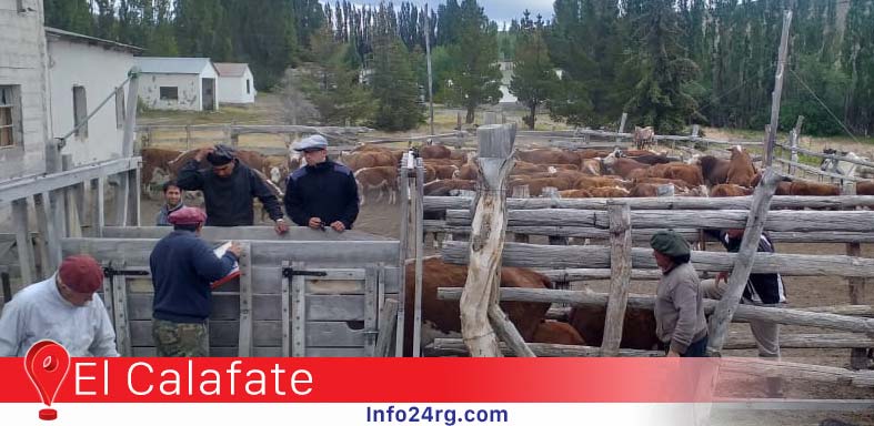 El Calafate