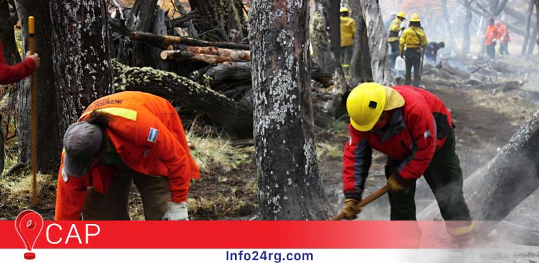 consejo agrario provincial