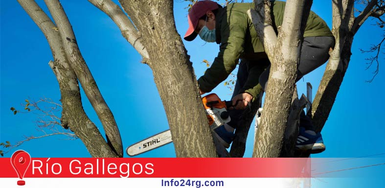 Municipalidad de Río Gallegos