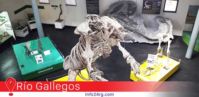 Reabrió la Sala de Paleontología del Museo “Padre Jesús Molina"