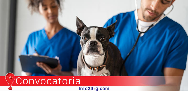 veterinarios y veterinarias