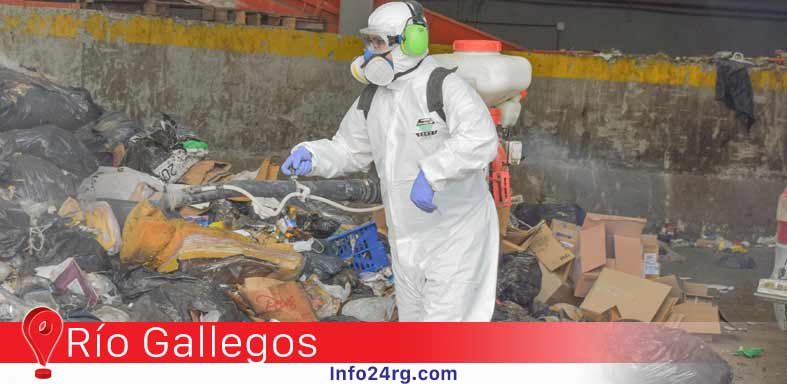 Plaga de moscas Río Gallegos