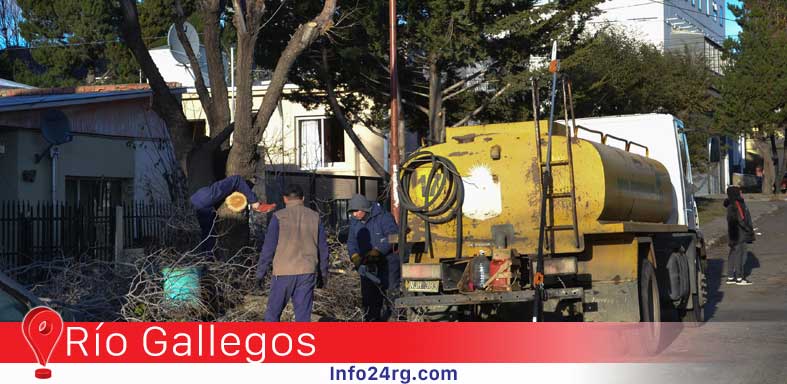 Forestación Río Gallegos