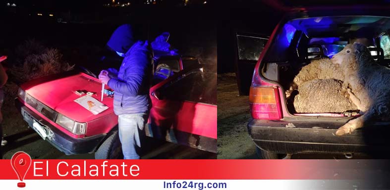 Policiales El Calafate