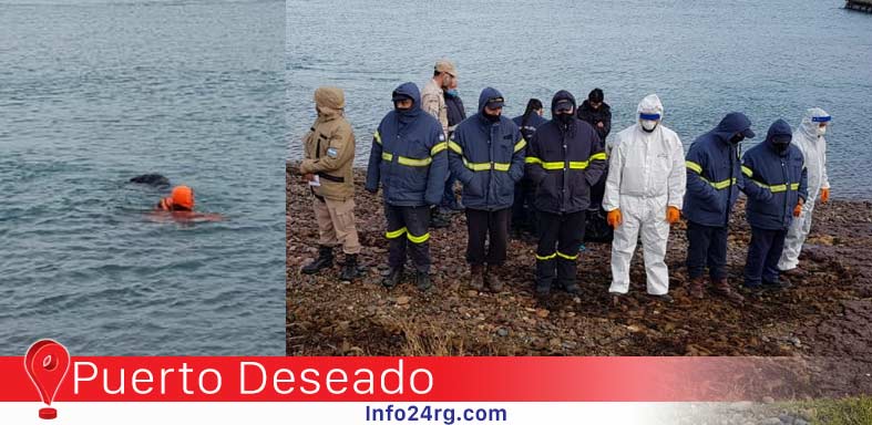 Puerto Deseado