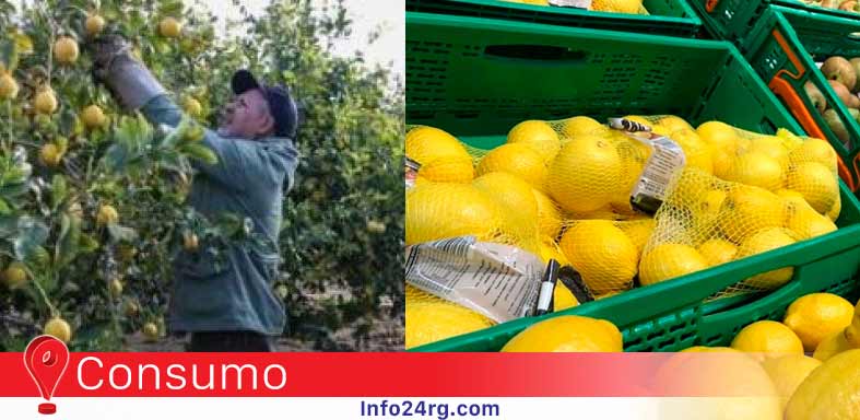 Pagamos 400% mas de lo que cobra un productor agropecuario, quien se la esta quedando ?