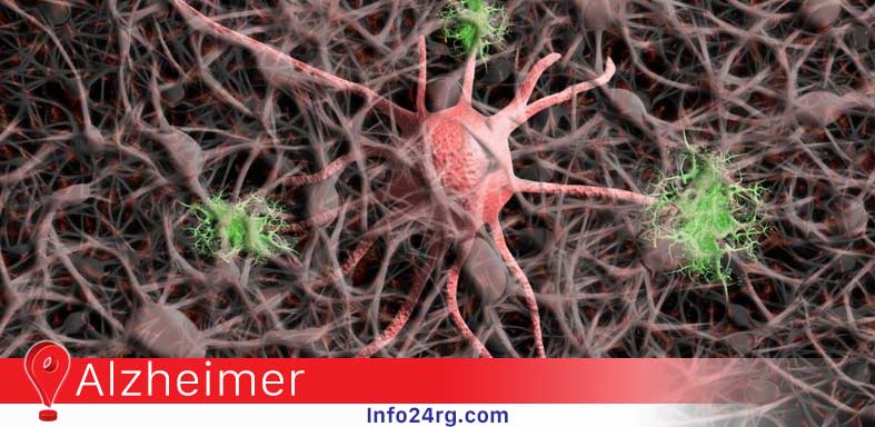 proteína que protege al cerebro 