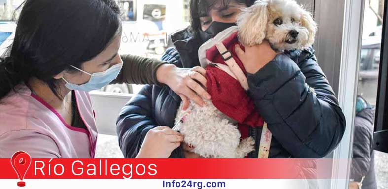 Municipio apoyó iniciativa sobre Cuidado Responsable de Mascotas