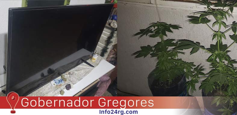 Gobernador Gregores