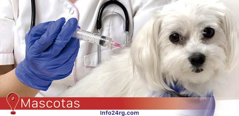 desconfianza en vacunas