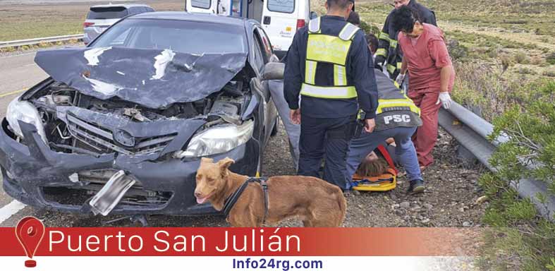 chocan con un guanaco