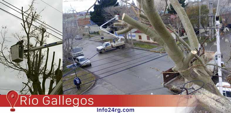  municipio y SPSE