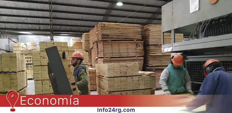 derrumbe de la economía real 