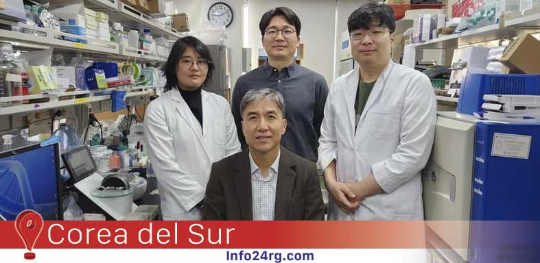 equipo de investigación, liderado por el profesor Kwang-Hyun Cho, del Korea Advanced Institute of Science and Technology (KAIST)