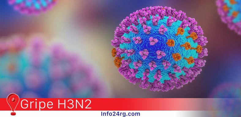 gripe H3N2
