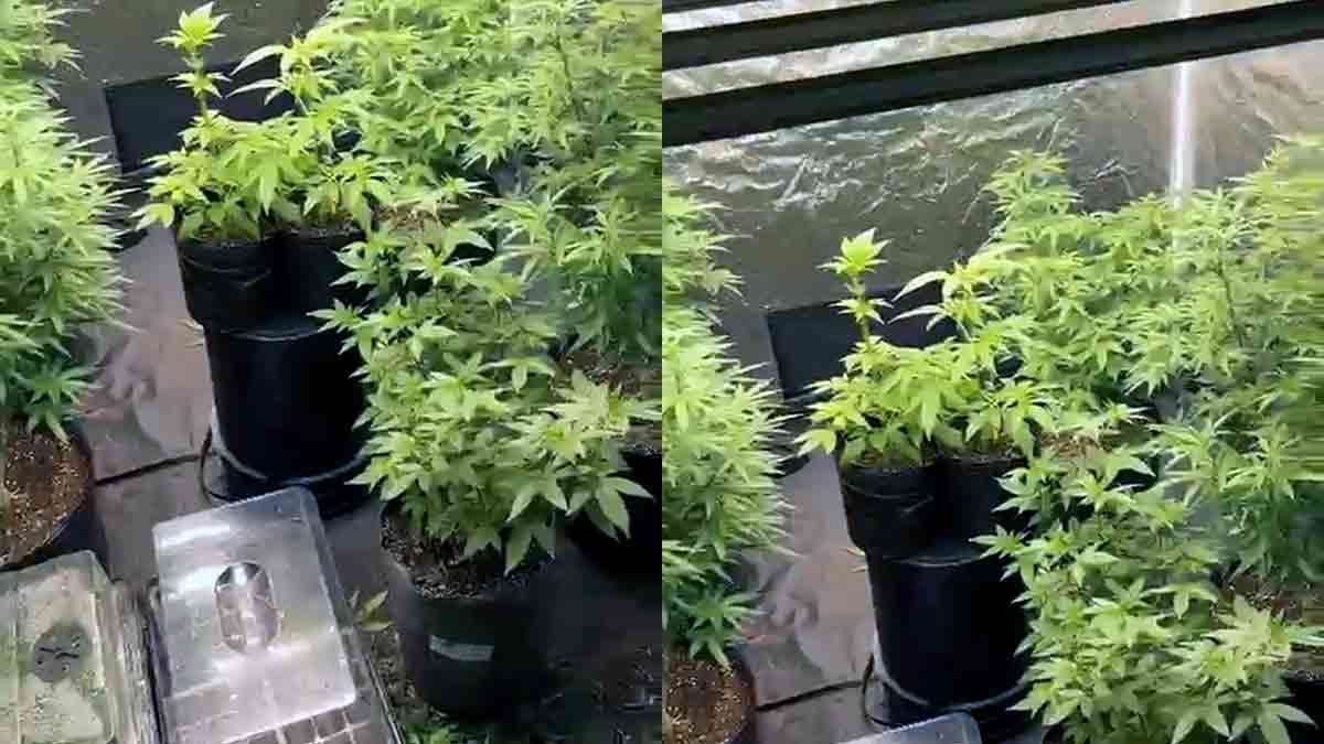 El Calafate: desarticularon un grupo delictivo tras allanamientos simultáneos