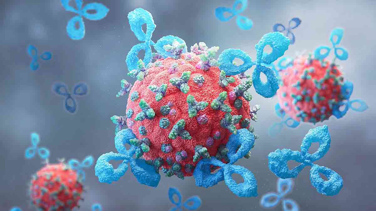 Un compuesto de la microbiota potenció la inmunoterapia contra el cáncer