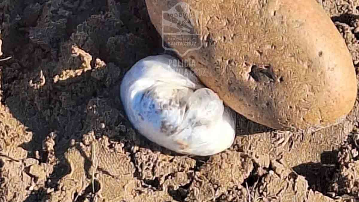 Caleta Olivia: intentó escapar de la Policía y terminó detenido con cocaína
