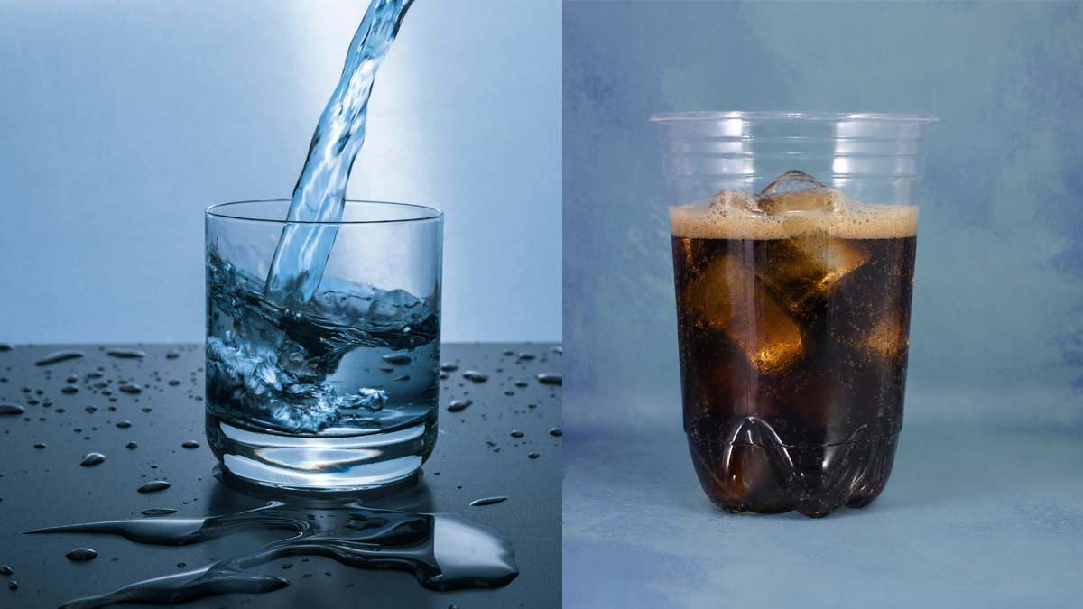 ¿Agua o gaseosa light? Un ensayo de dos años encontró una sorpresa