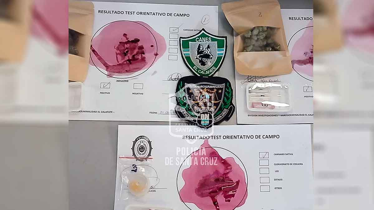 El Calafate: Policías caninos encontraron drogas en una encomienda 