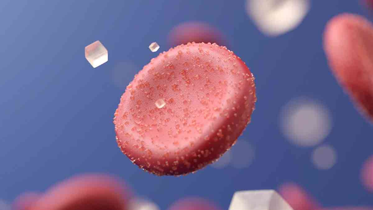 Un recubrimiento ultrafino abre una nueva vía experimental contra la diabetes