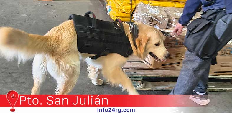 controles en paqueterías 