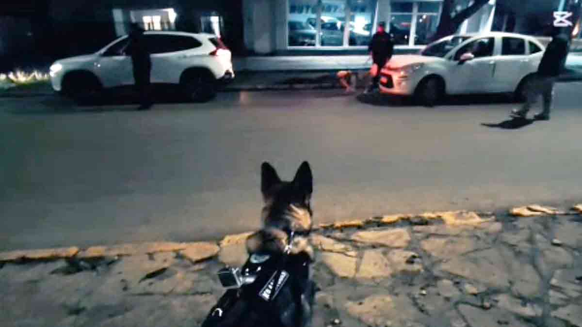 Amplio control en Puerto San Julián terminó con vehículos secuestrados y detenidos
