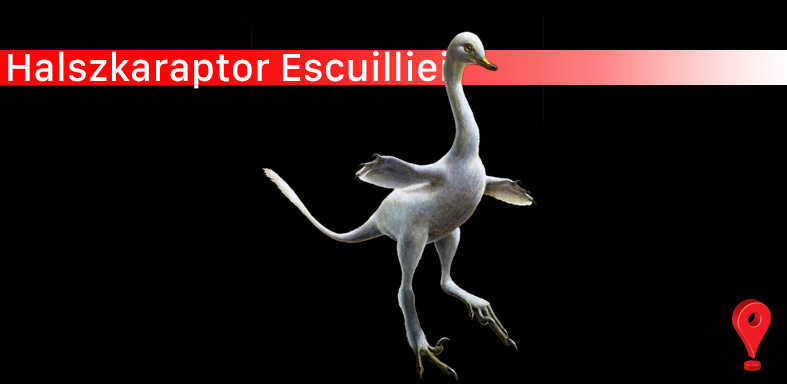 Halszkaraptor escuilliei