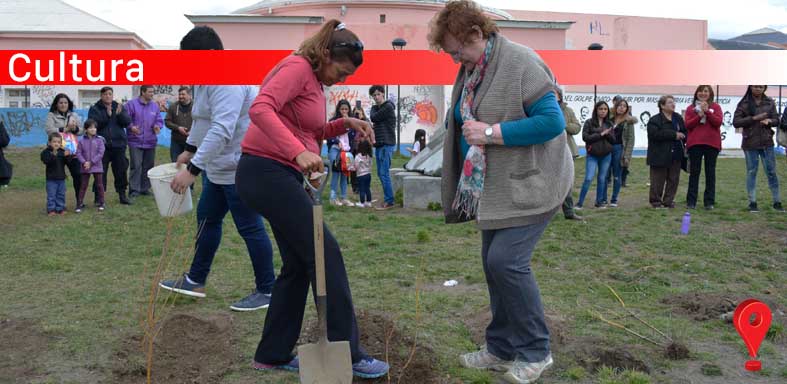 Cultura