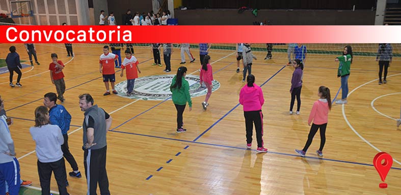 Cursos de formación en Educación Física y Deportes