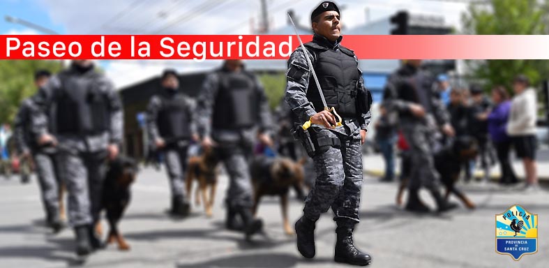 Policiales