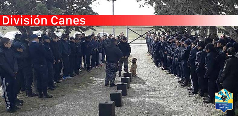 Policiales