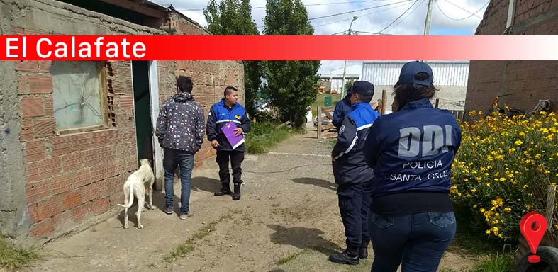 Policiales
