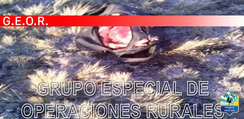 Policiales