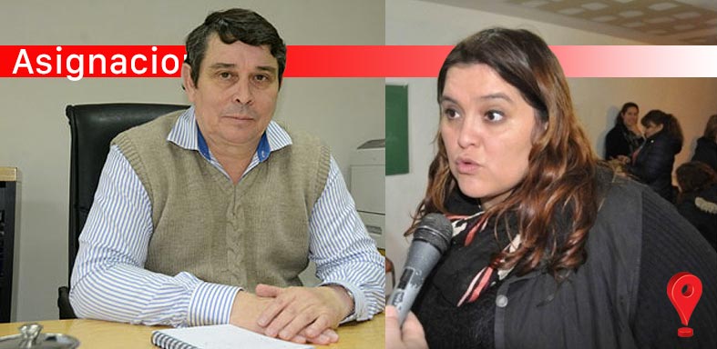 Zielhke y D´amico 