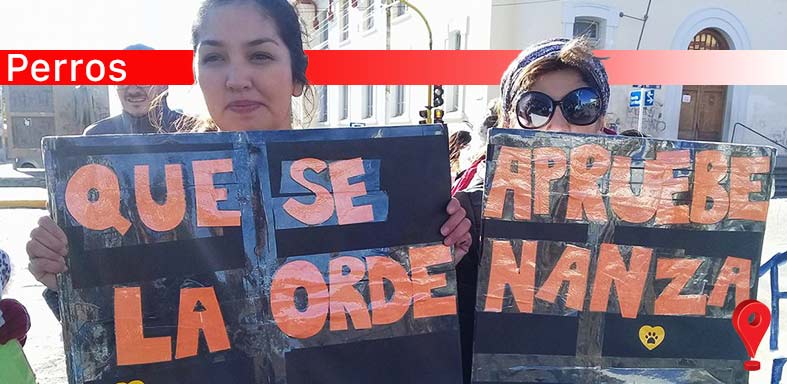 sobrepoblación canina