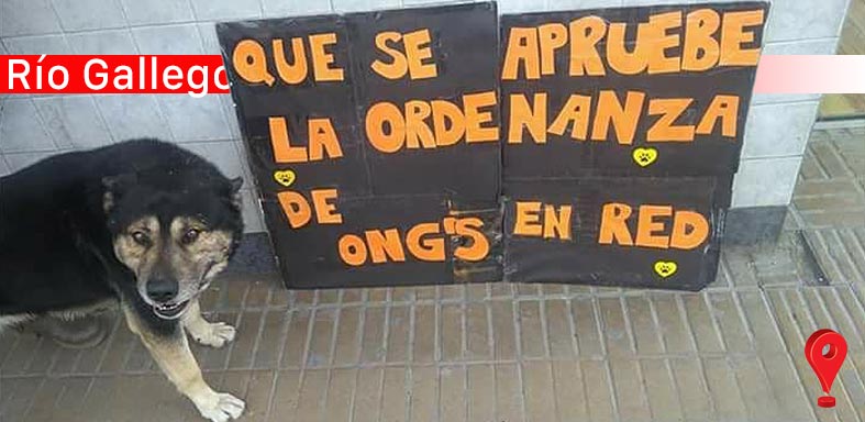 Castraciones gratuitas