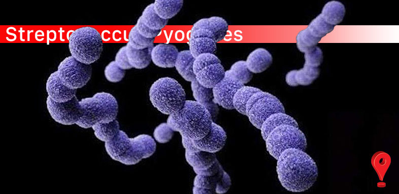 Piden tranquilidad a la comunidad por los casos de la bacteria