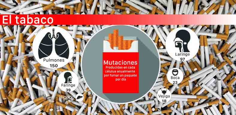 Ataca a nuestro ADN y provoca 17 tipos de cáncer