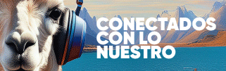 SS-Servicios